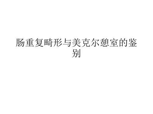 肠重复畸形与美克