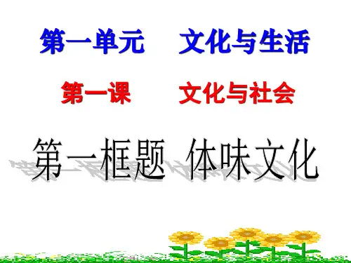 人教版高中政治必修三文化生活体味文化课件