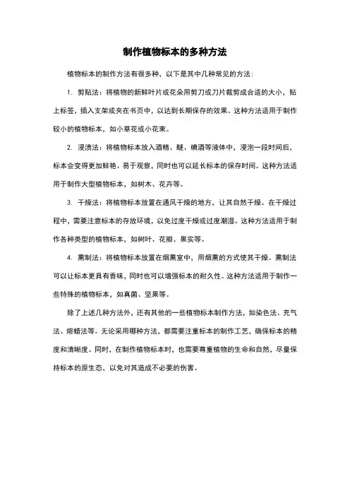 制作植物标本的多种方法