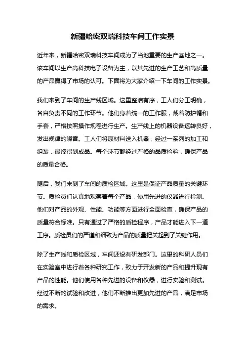 新疆哈密双瑞科技车间工作实景