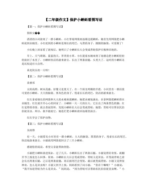 【二年级作文】保护小蝌蚪看图写话