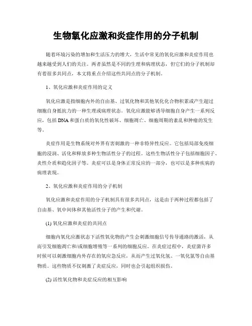 生物氧化应激和炎症作用的分子机制