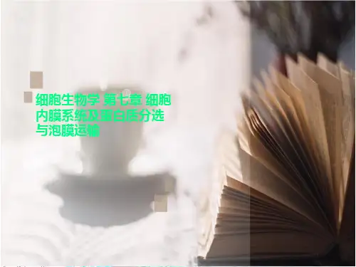 细胞生物学 第七章 细胞内膜系统及蛋白质分选与泡膜运输