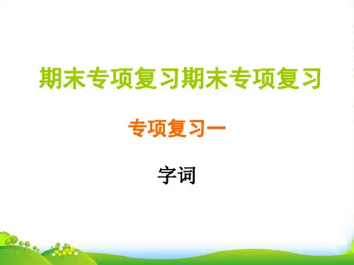 人教部编版五年级下册语文习题课件-期末专项复习期末专项复习 一 (共10张PPT)