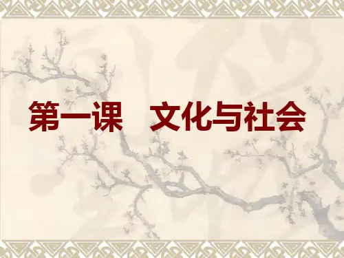 人教版高中政治必修三：第一课__文化与社会__(共36张PPT)