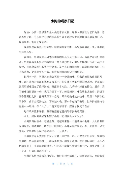 小狗的观察日记