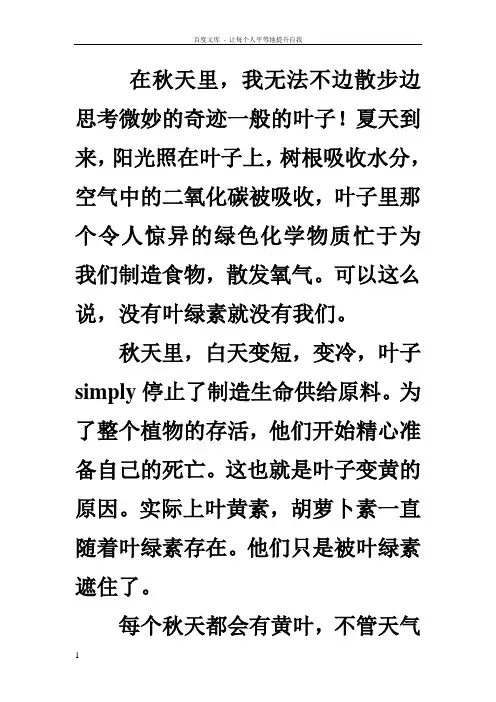 综英第二册第12单元readmore翻译
