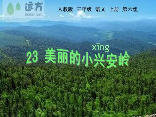 人教版三年级语文上册23《美丽的小兴安岭》ppt