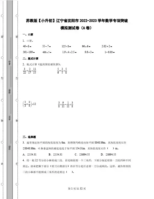 苏教版【小升初】辽宁省沈阳市2022-2023学年数学专项突破模拟测试卷AB卷(含解析)