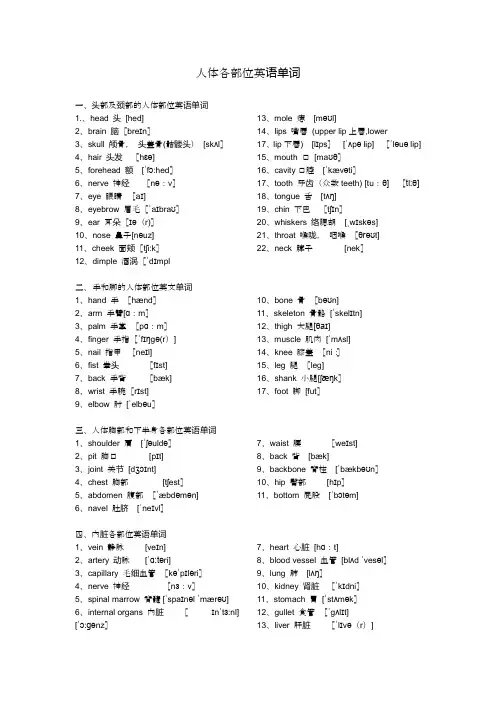 人体各部位英语单词(含音标)