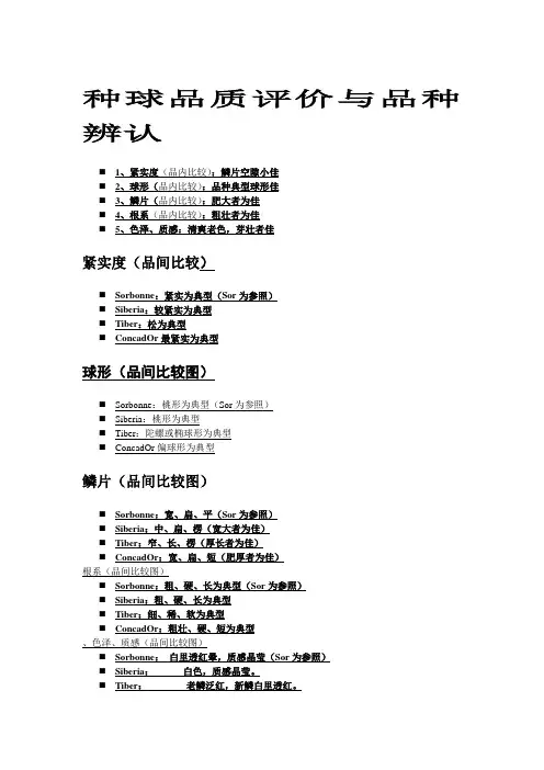 百合品种辨别
