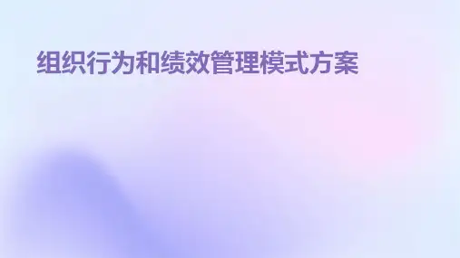 组织行为和绩效管理模式方案