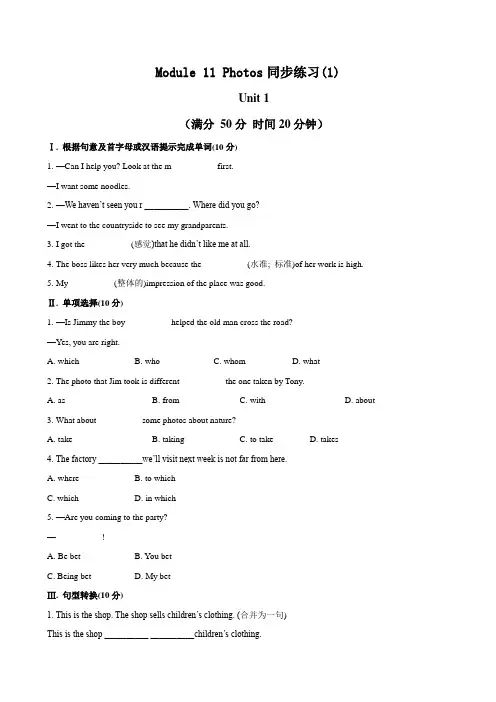 外研版9年级上册课时同步练习及答案Module 11 Photos同步练习(1)