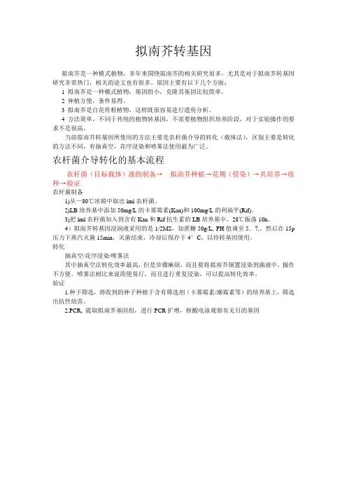 拟南芥转基因