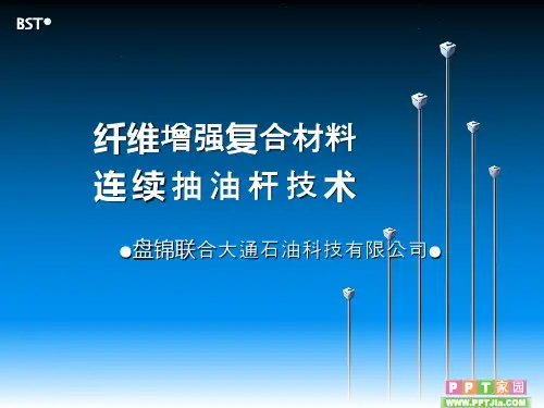 《纤维增强复合材料连续抽油杆》.