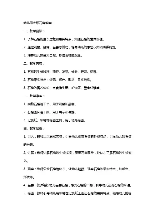 幼儿园大班石榴教案