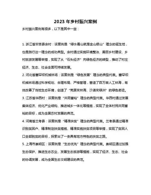 2023年乡村振兴案例