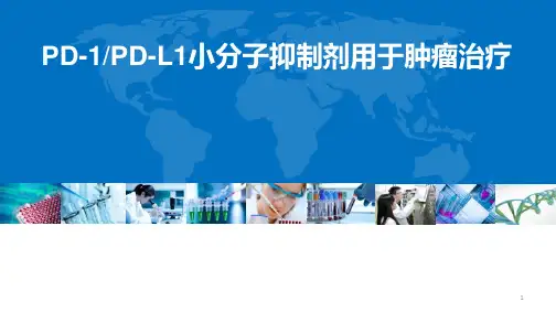 药物立项及进展汇报模板-以PD-L1小分子抑制剂为例