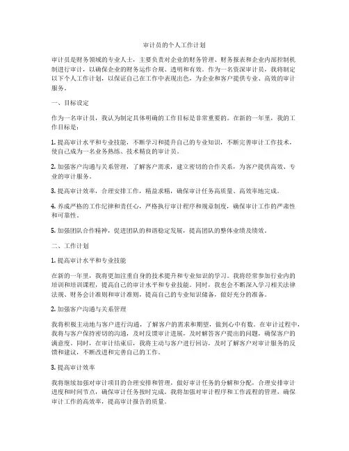 审计员的个人工作计划