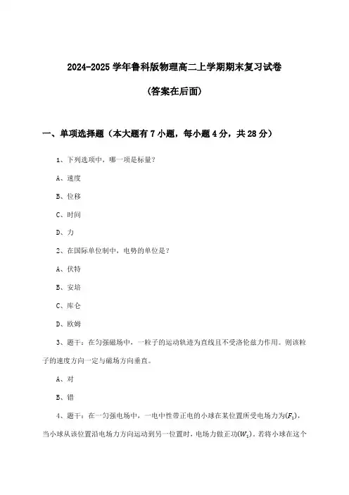 鲁科版物理高二上学期期末试卷与参考答案(2024-2025学年)