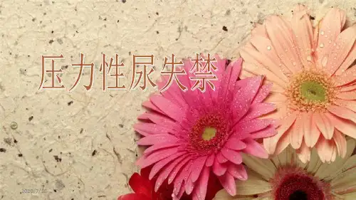 压力性尿失禁的护理PPT课件