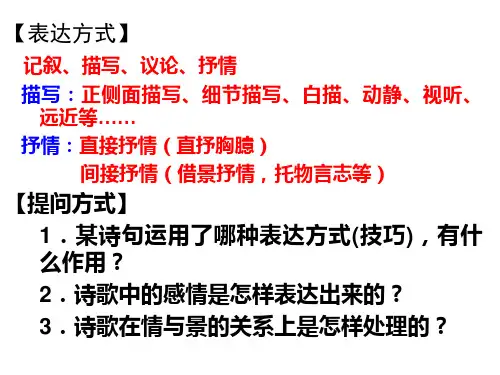 诗歌表达技巧(表达方式)
