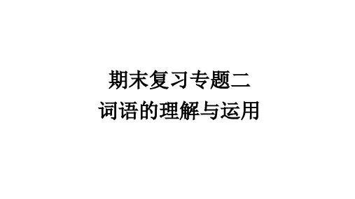 部编版九年级语文上册期末复习专题二词语的理解与运用