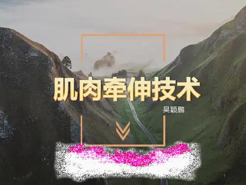肌肉牵伸技术(2019)