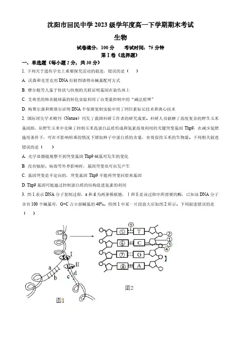 辽宁省沈阳市和平区沈阳市回民中学2023-2024学年高一下学期期末考试生物学试题(含答案)