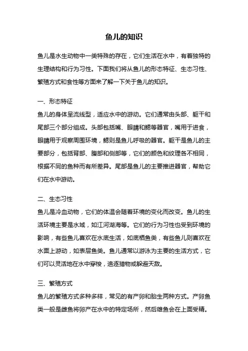 鱼儿的知识