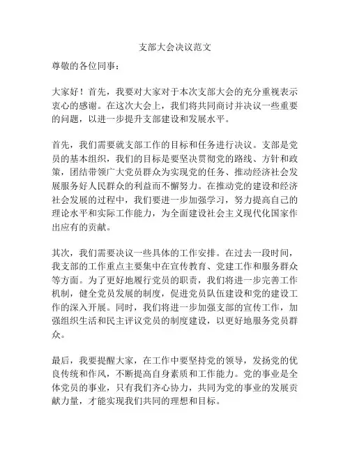支部大会决议范文