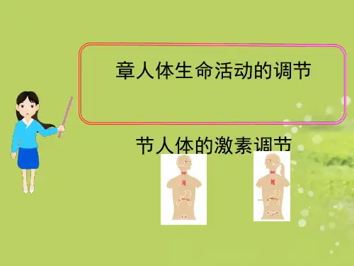 人体的激素调节ppt12
