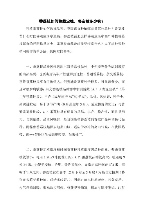 番荔枝如何移栽定植,每亩栽多少株？
