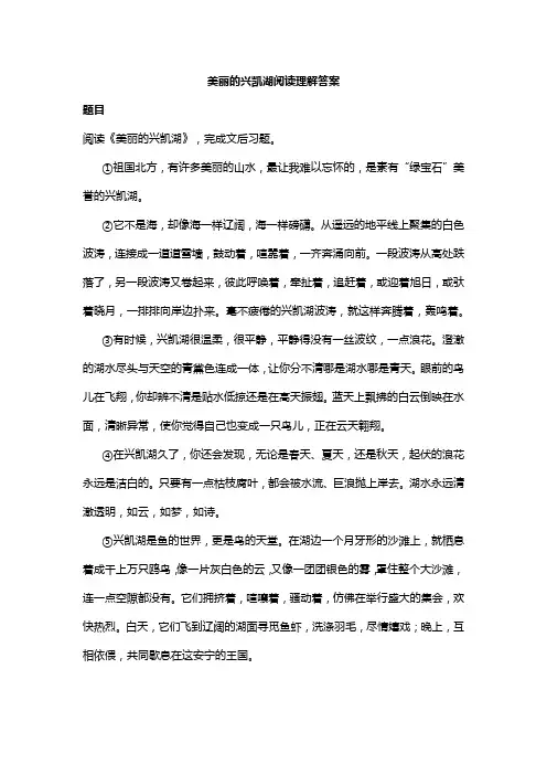 美丽的兴凯湖阅读理解答案