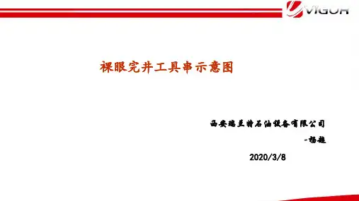 裸眼完井工具串示意图