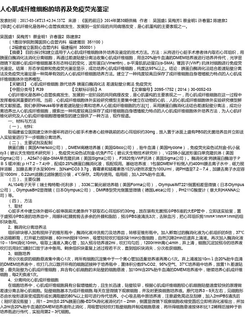 人心肌成纤维细胞的培养及免疫荧光鉴定