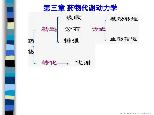 药理学药动学影响因素