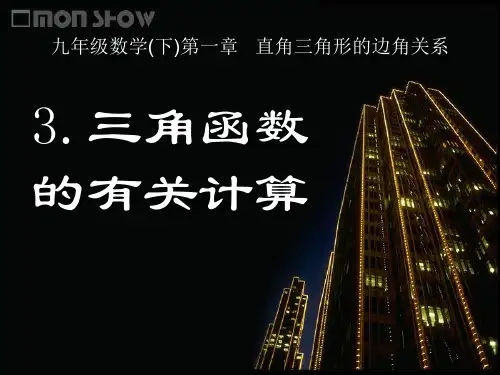 《三角函数的有关计算》直角三角形的边角关系PPT课件4教学课件