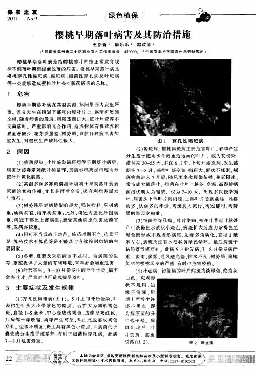 樱桃早期落叶病害及其防治措施