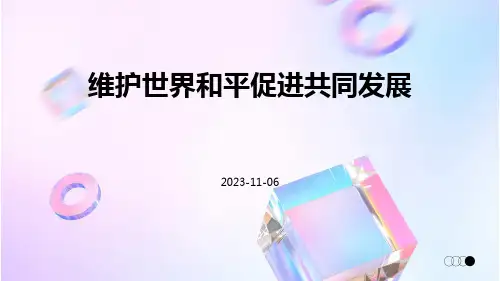 维护世界和平促进共同发展