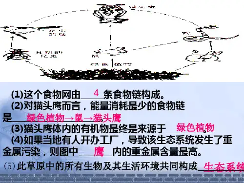 人教版七年级上册 生物 课件 1.2.3《生物圈是最大的生态系统》(共39张PPT)