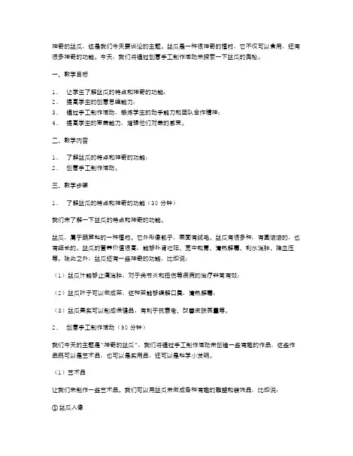 《神奇的丝瓜》课堂教案二：创意手工制作活动