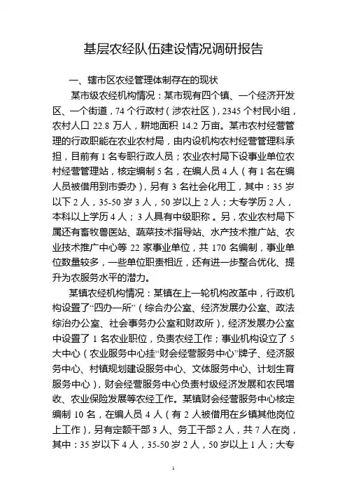 基层农经队伍建设情况调研报告