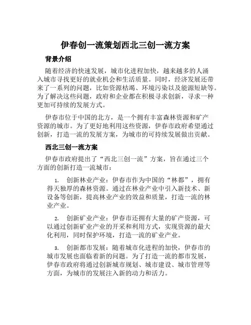 伊春创一流策划西北三创一流方案 (3)