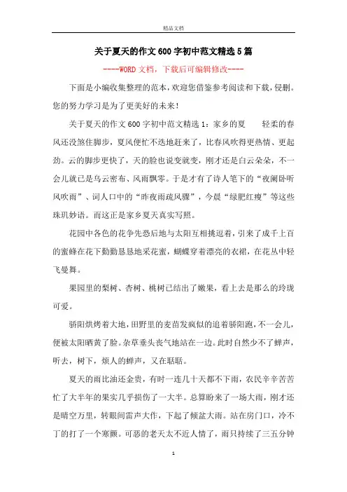 关于夏天的作文600字初中范文精选5篇
