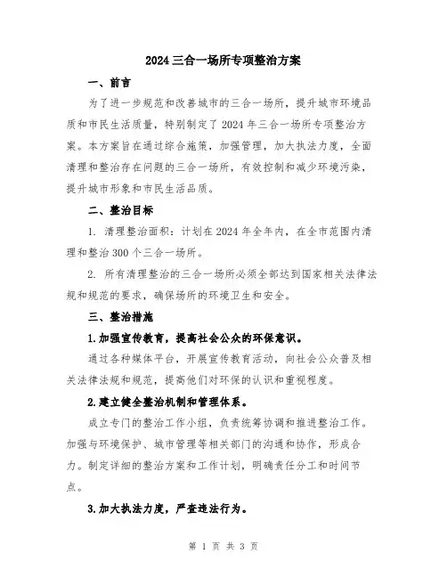 2024三合一场所专项整治方案
