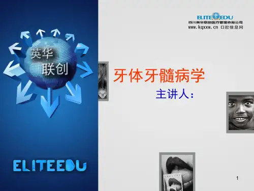 牙体牙髓病学PPT课件