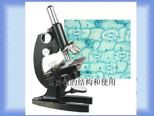 济南版生物七上第一节《显微镜的结构和使用》ppt