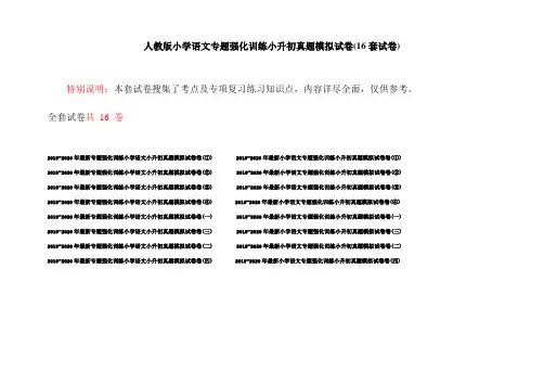 人教版小学语文专题强化训练小升初真题模拟试卷(16套试卷)
