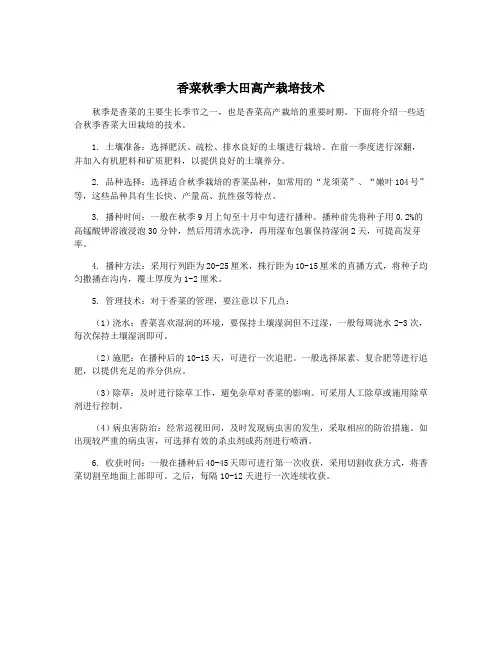 香菜秋季大田高产栽培技术